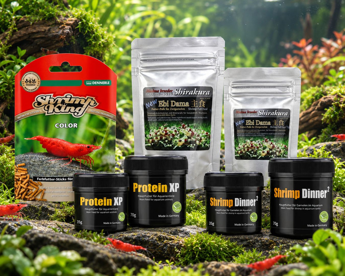 Mangimi per caridine e neocaridine | BettaDream