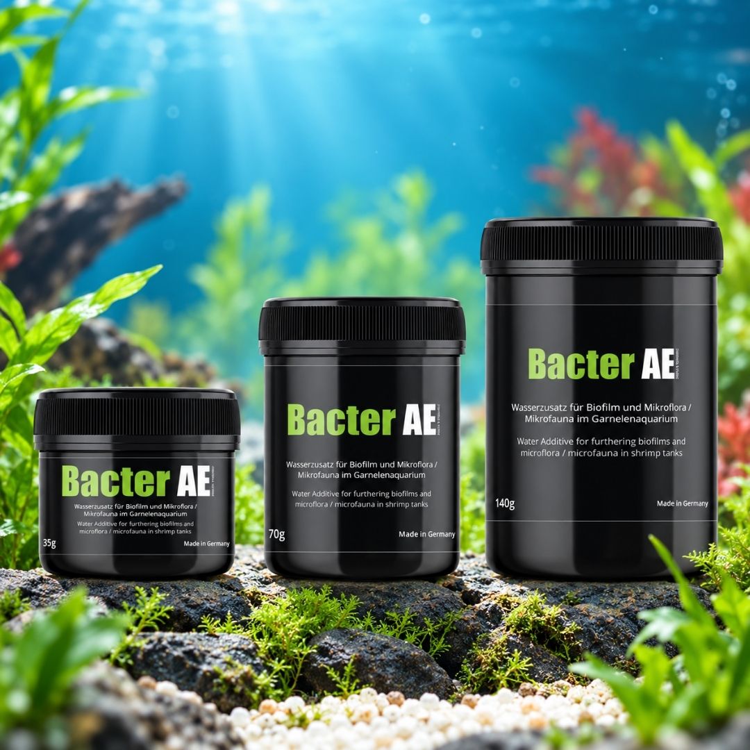 GlasGarten Bacter AE 35/70 g | Biofilm per gamberetti