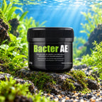 GlasGarten Bacter AE 35/70 g | Biofilm per gamberetti