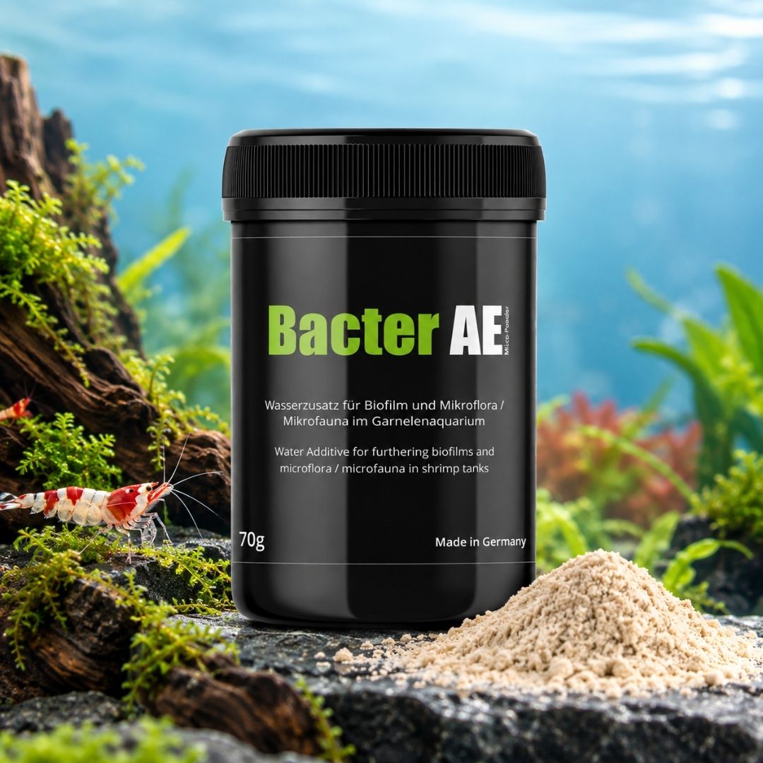 GlasGarten Bacter AE 35/70 g | Biofilm per gamberetti