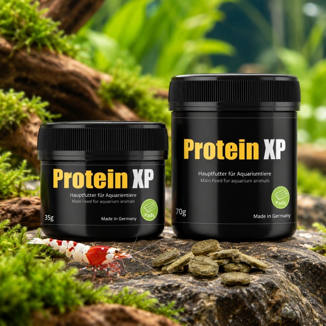 GlasGarten Protein XP 35/70 g | Mangime per gamberetti