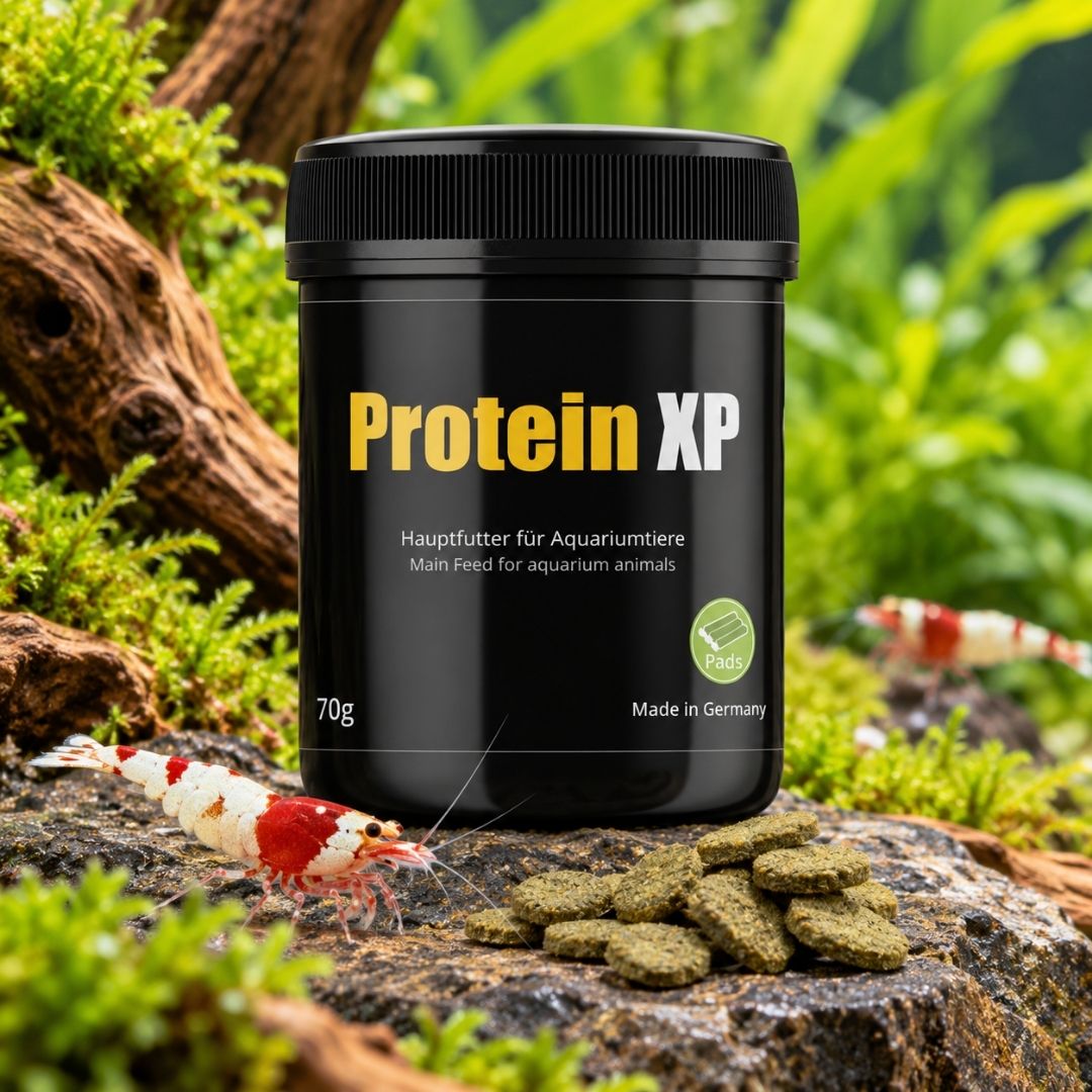 GlasGarten Protein XP 35/70 g | Mangime per gamberetti