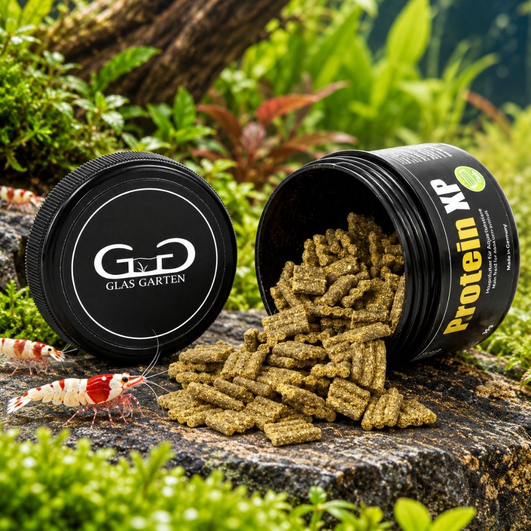 acquista online mangime proteico per gamberetti - glasgarten protein XP - compra su bettadream