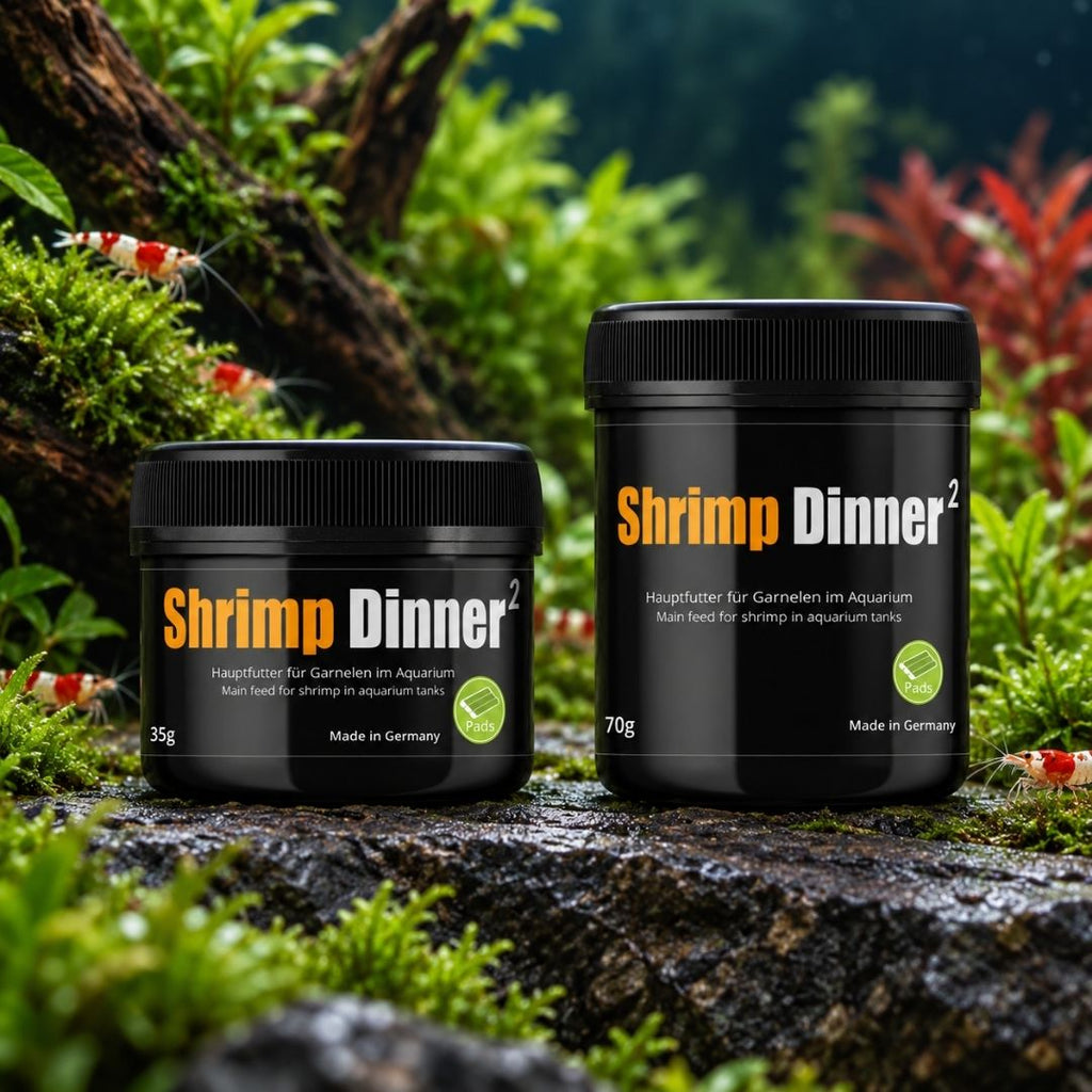 GlasGarten Shrimp Dinner 2 35/70 g | Mangime per Caridina e Neocaridina