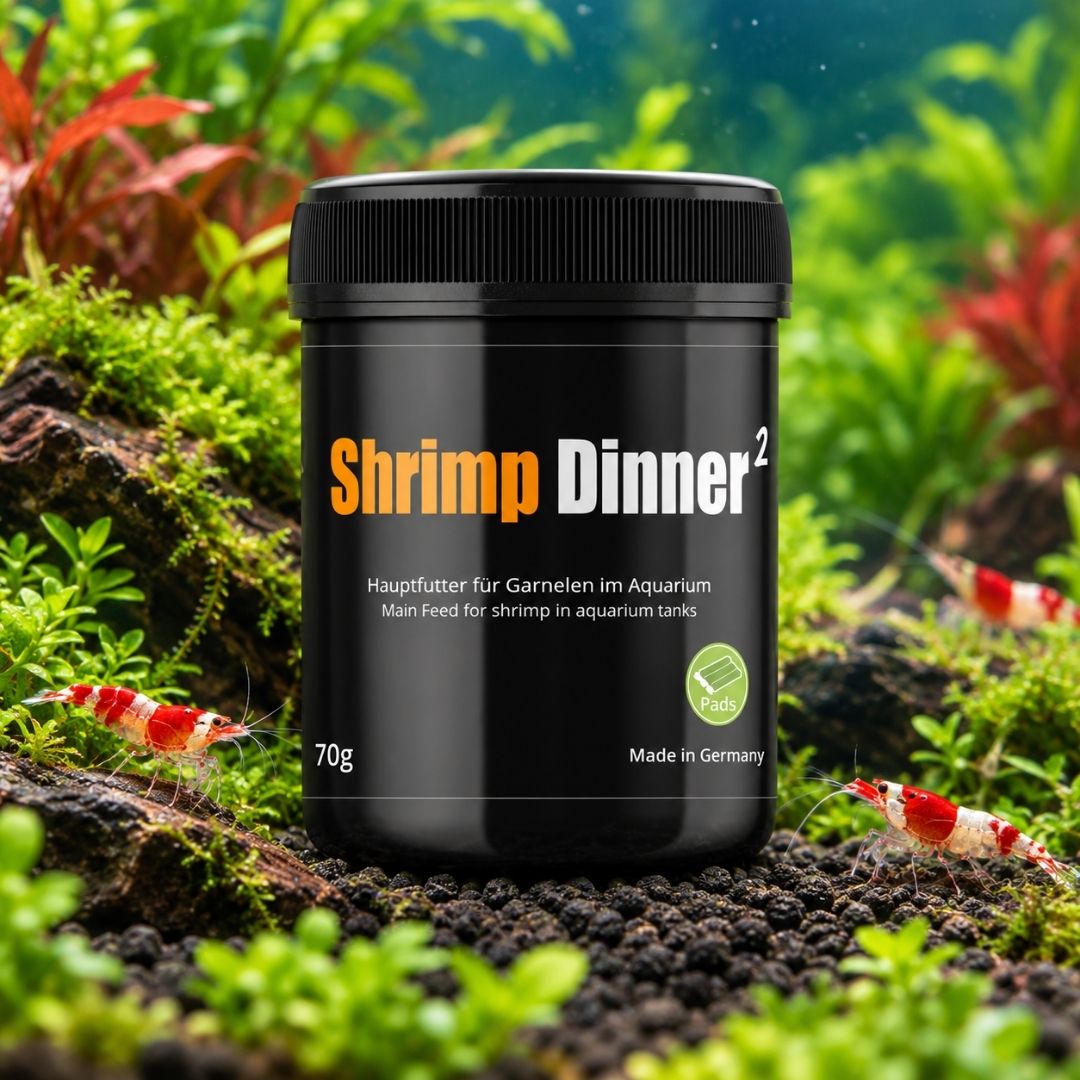 GlasGarten Shrimp Dinner 2 35/70 g | Mangime per Caridina e Neocaridina