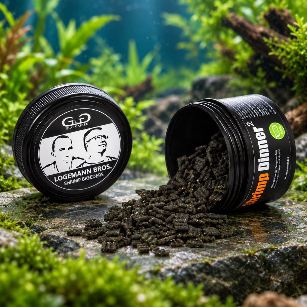 GlasGarten Shrimp Dinner 2 35/70 g | Mangime per Caridina e Neocaridina