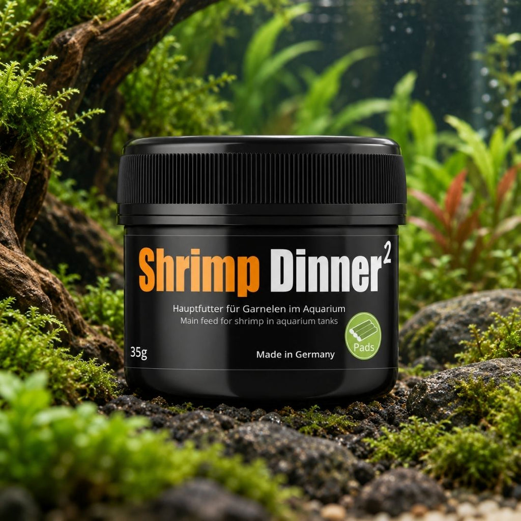 GlasGarten Shrimp Dinner 2 35/70 g | Mangime per Caridina e Neocaridina