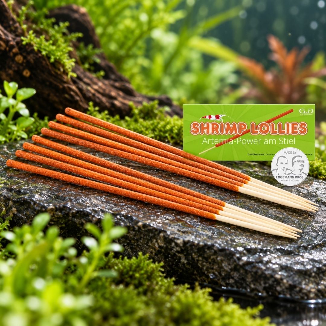shrimp lollies artemia power - compra su bettadream 