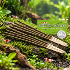 shrimp lollies moriga power - compra su bettadream 