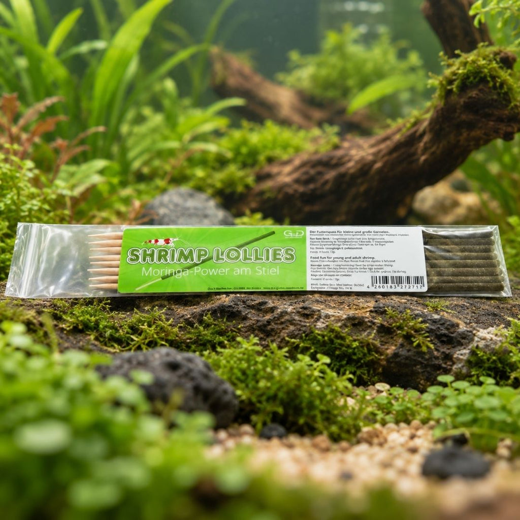 GlasGarten Shrimp Lollies Moringa Power | 8 stick