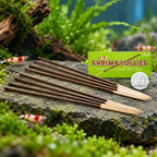 shrimp lollies walnut power - compra su bettadream 