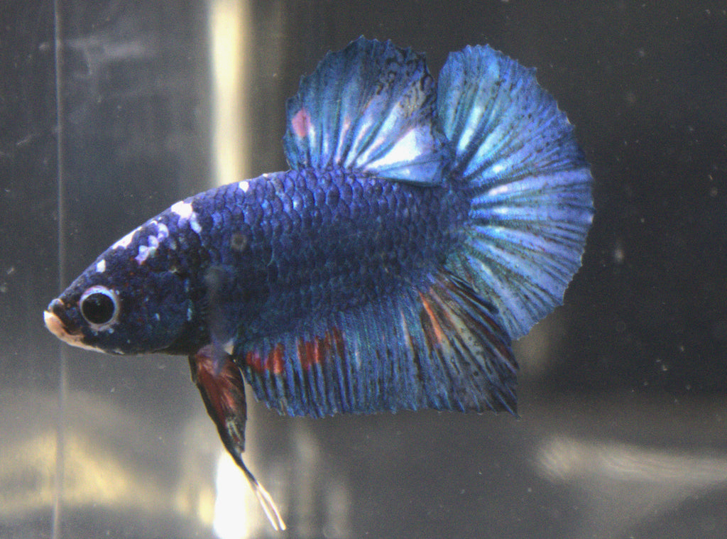 Plakat Marble - PK00001