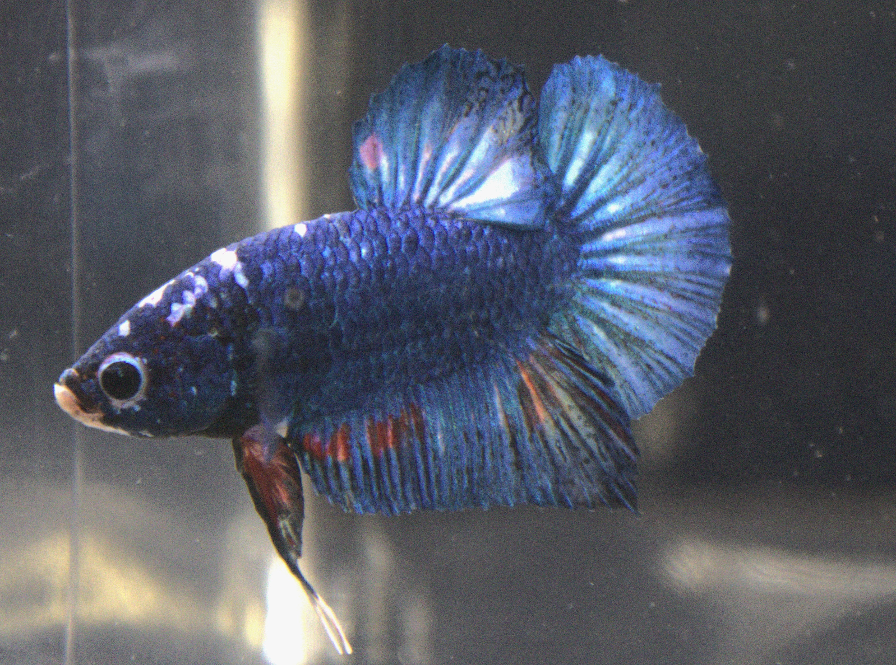 Plakat Marble - PK00001