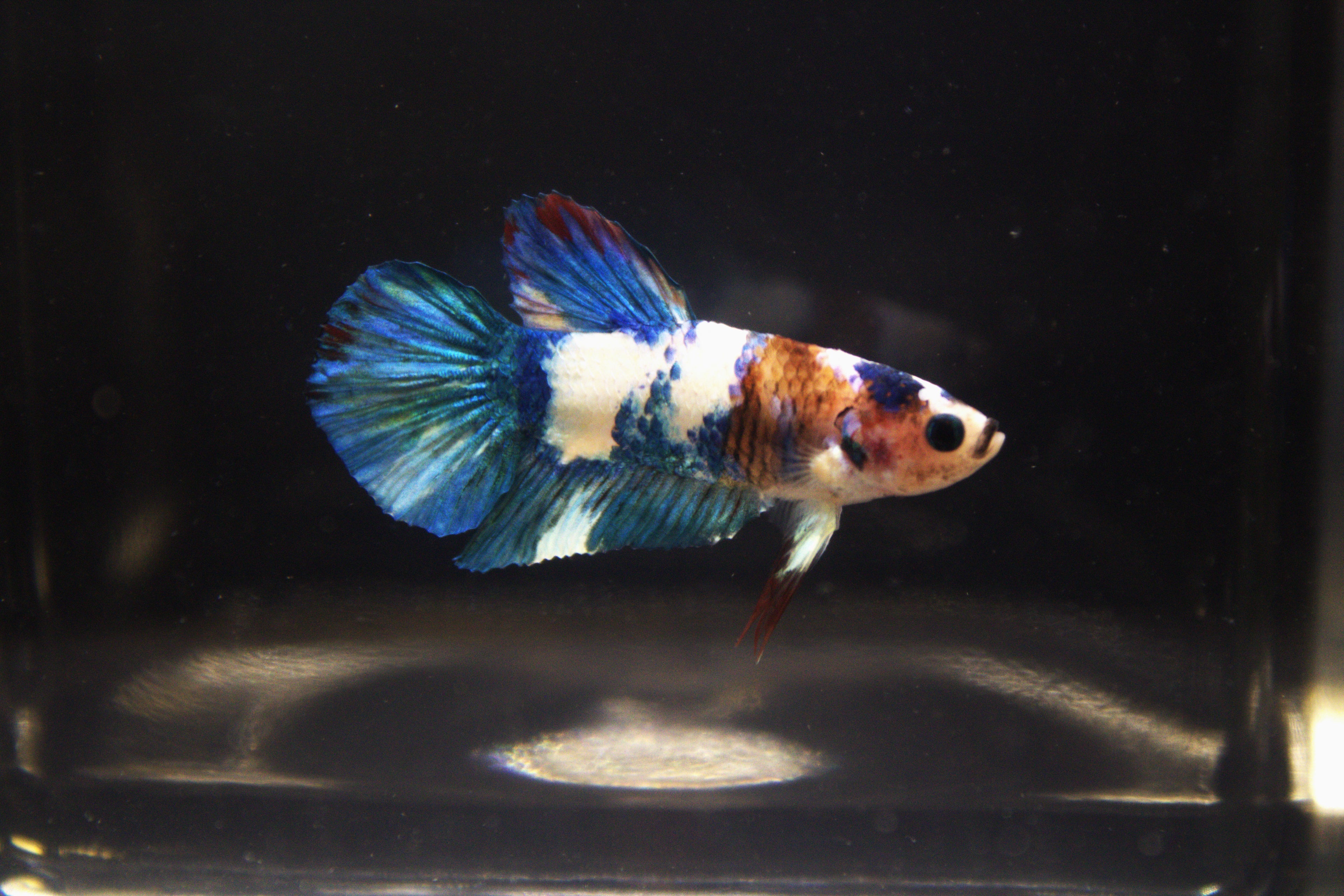 Plakat Marble - PK00002