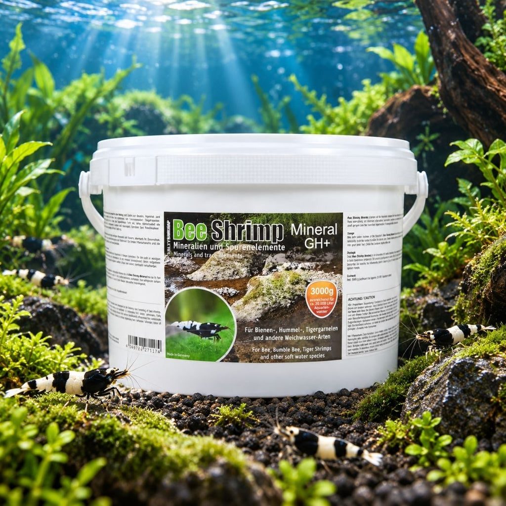 SaltyShrimp Bee Shrimp Mineral GH+ - 110 g / 230 g | Sali per Caridina e Neocaridina