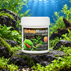 SaltyShrimp Shrimp Mineral GH/KH+ - 100 g / 200 g | Sali per Neocaridina