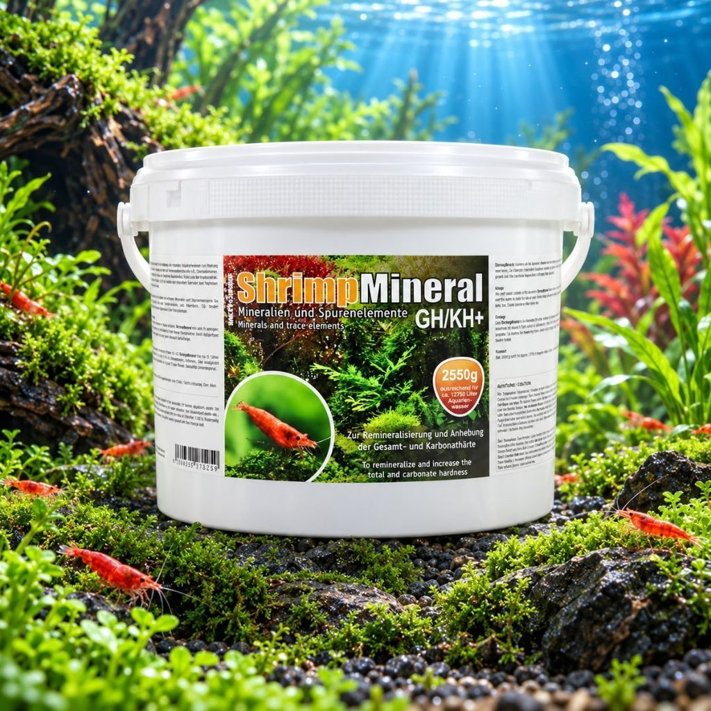 SaltyShrimp Shrimp Mineral GH/KH+ - 100 g / 200 g | Sali per Neocaridina