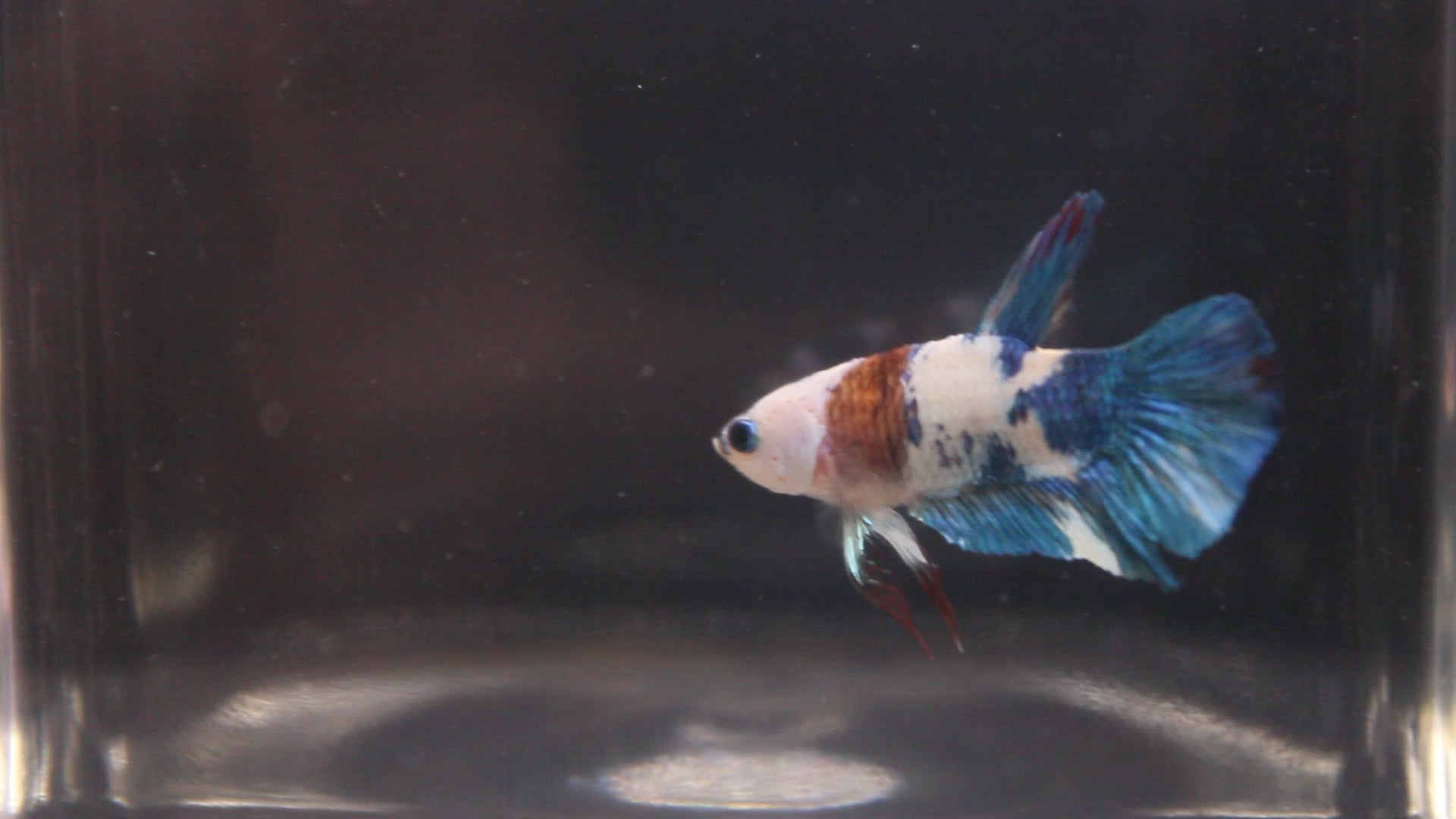 Plakat Marble - PK00002