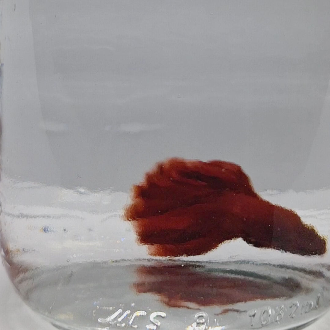 Halfmoon Red - HM00054
