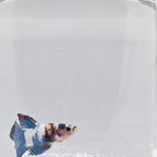 Plakat Marble - PK00002