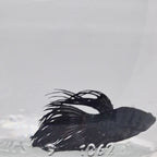 Crown Tail Black - CT00003