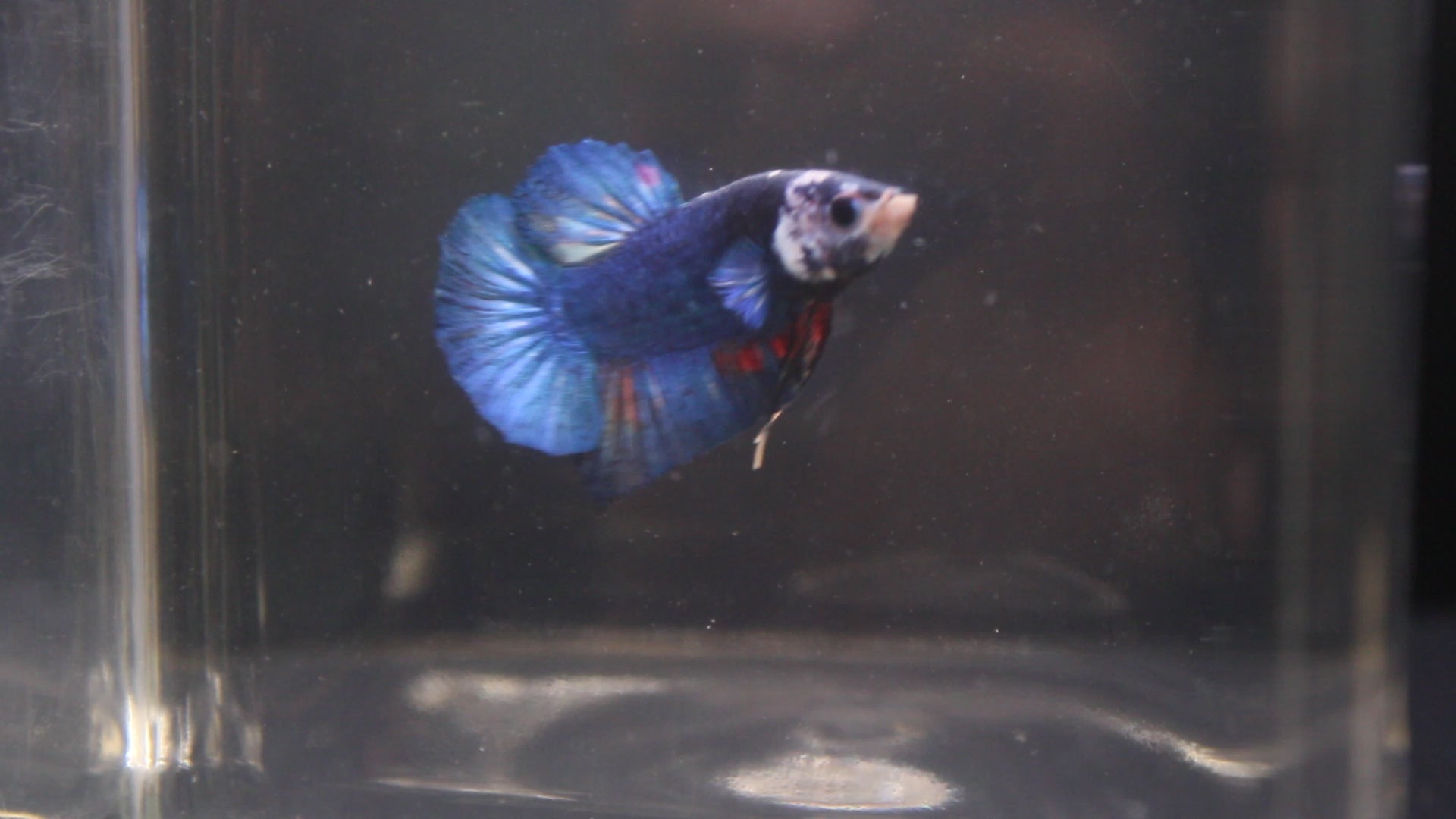 Plakat Marble - PK00001