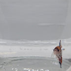 Plakat Koi - PK00014